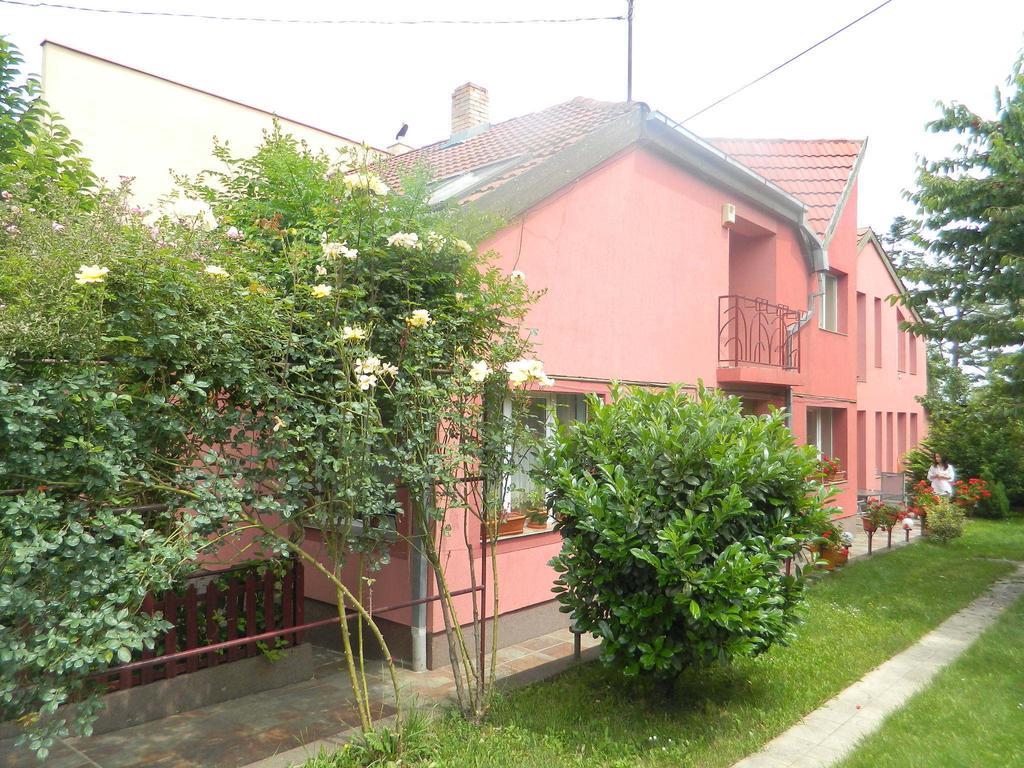 Cazare Vio Hotel Cluj-Napoca Exterior photo